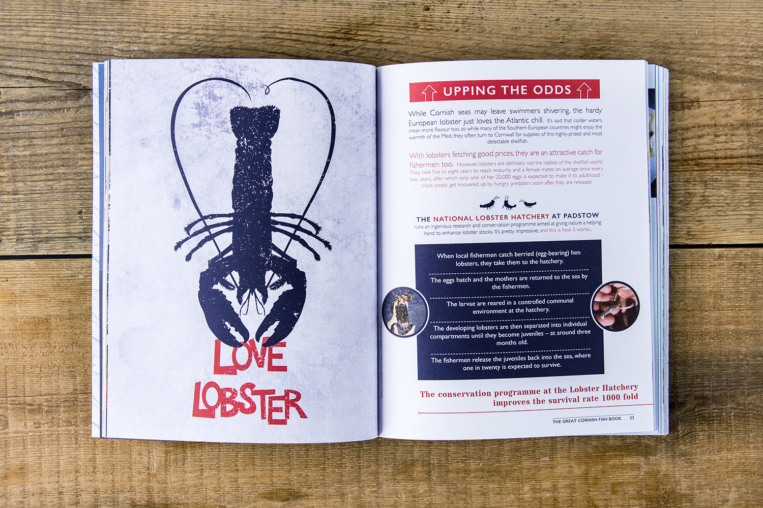 Layout design of the Great Cornish Fish Book